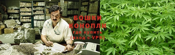 ПСИЛОЦИБИНОВЫЕ ГРИБЫ Верхний Тагил