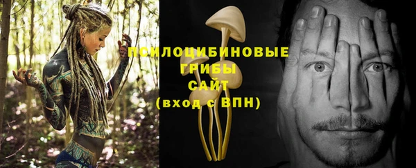 мяу мяу мука Волоколамск
