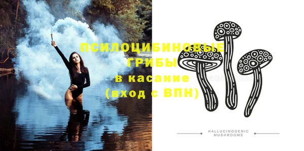 ешки Володарск
